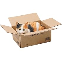 2体 mames ワンオフ 証明書付 vagボタンカスタム 踊り猫 フィギュア 予約】【指定購入単品】【黒山羊】【7月～8月入荷予定】1/12 BJD